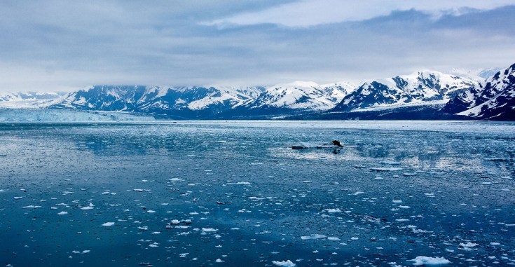Stock-sea-ice-off-Alaska-Arctic-1550x804