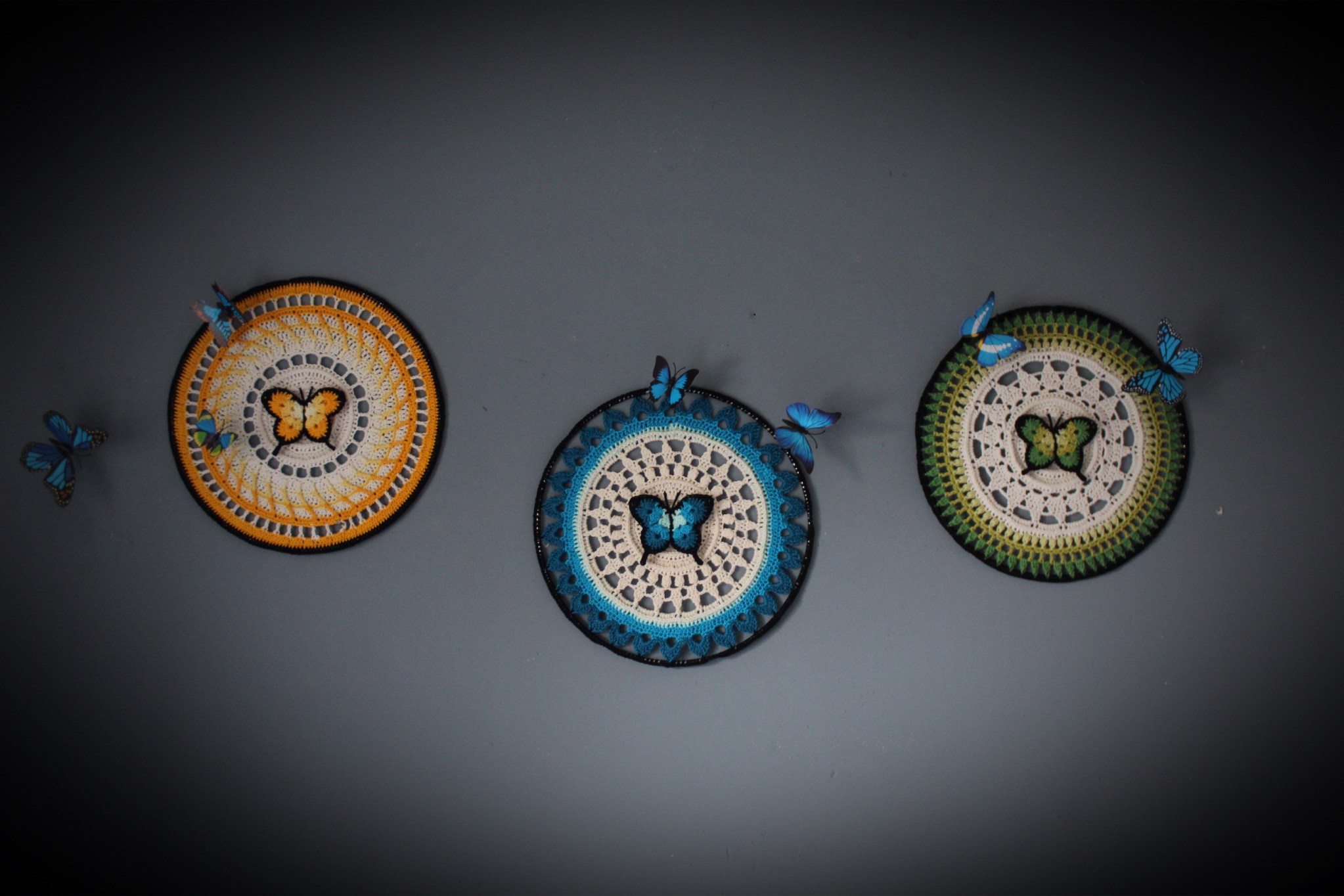 Morpho Mania pattern out now…