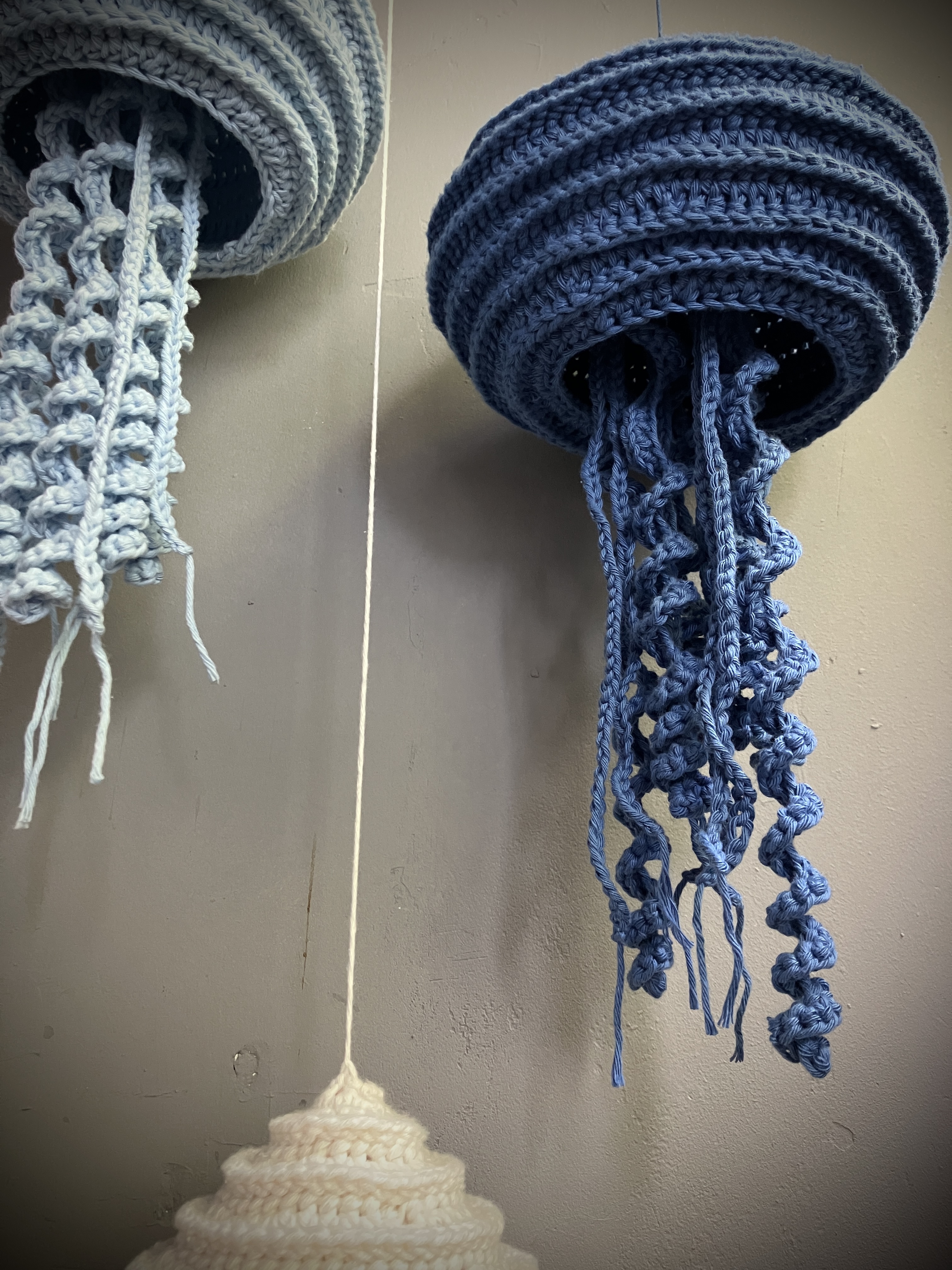 Jolly Jellyfish out now…